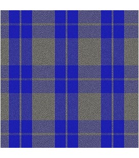 Casimir Elizabeth Escocés Gris Azul Rey