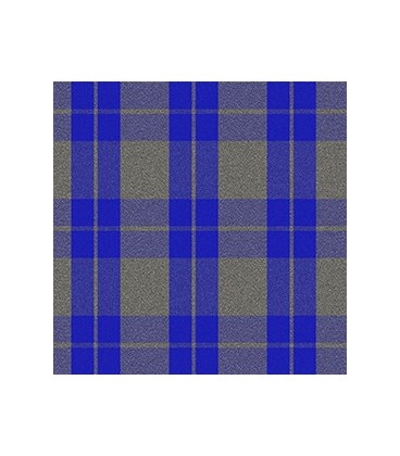 Casimir Elizabeth Escocés Gris Azul Rey