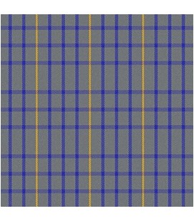 Casimir Escocés Gris Azul Rey Amarillo