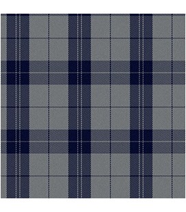 Casimir Escocés Gris Azul