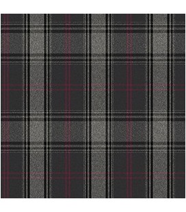 Casimir Elizabeth Escocés Gris Rojo Negro
